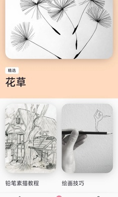 学习绘图